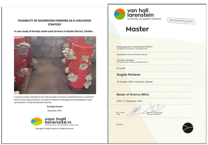 3: Thesis Research on Mushroom Farming in Zambia (Sept 2023)