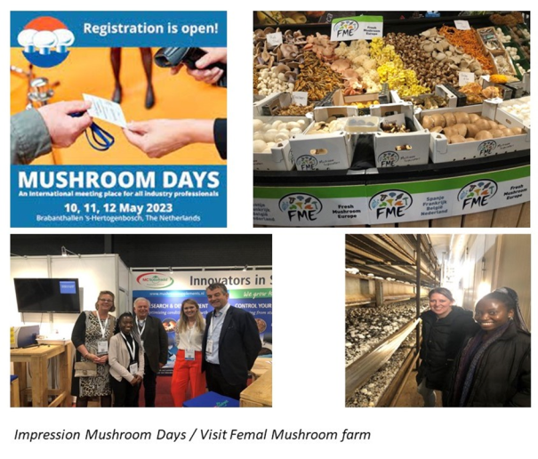 Visit Mushroom Farmers in Netherlands 