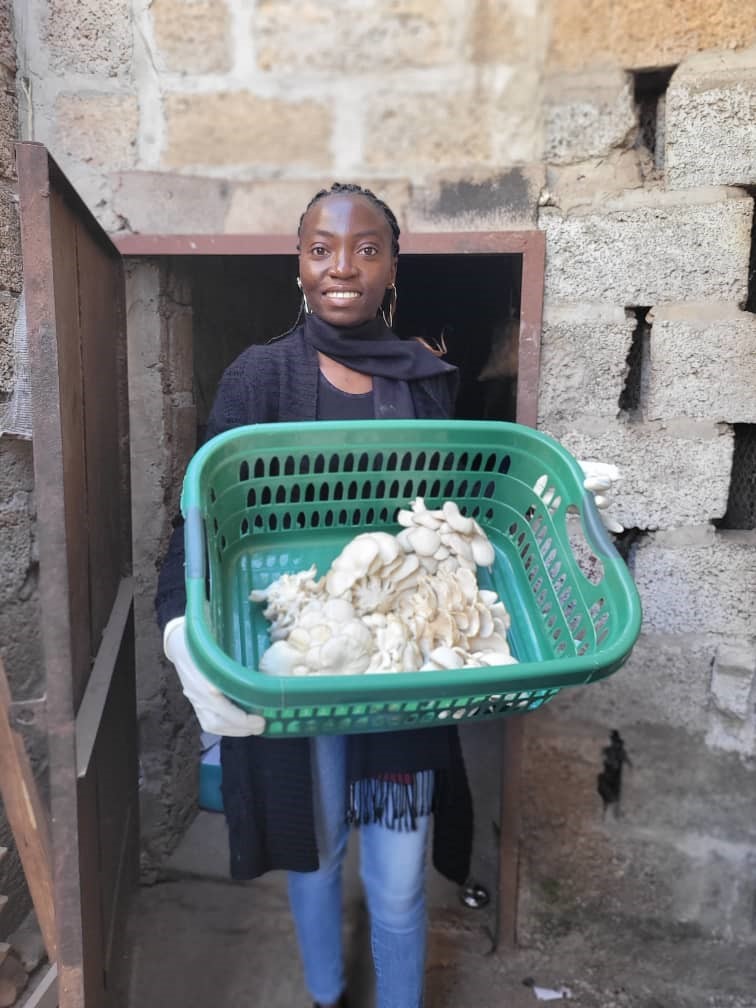 10: Harvesting of the Mushroom (Apr 2024)