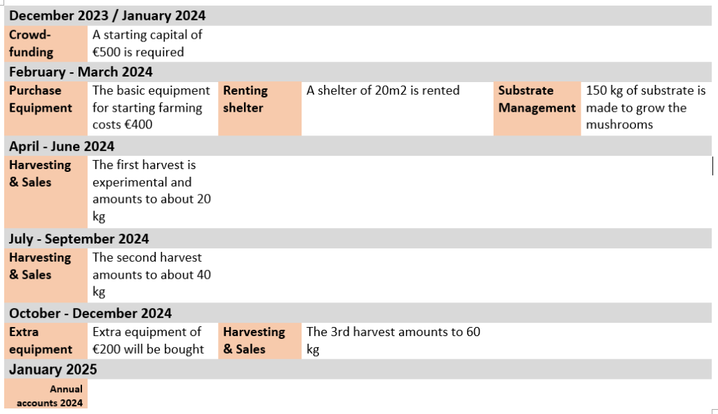 Funding and planning of the business