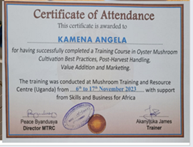 4: Mushroom Training in Uganda (Nov 2023)