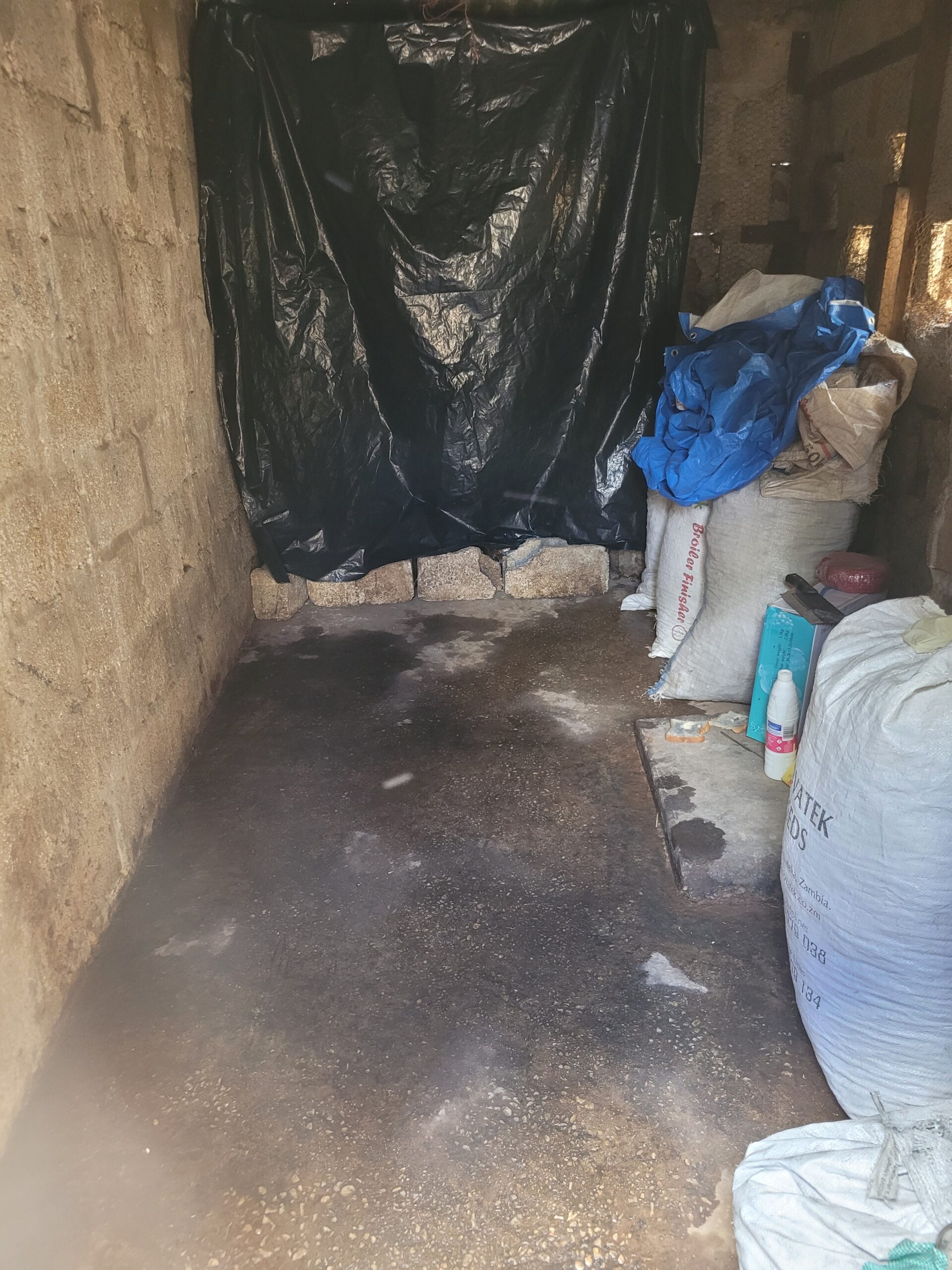 7: Renting of a Mushroom Shelter (Feb 2024)